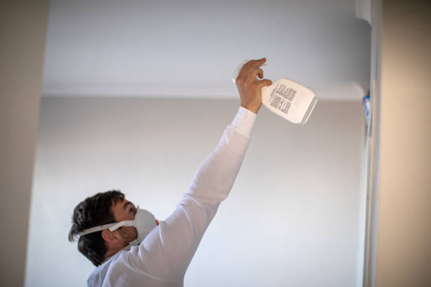 Best Professional Mold Removal  in Garden City Park, NY