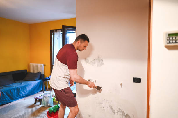 Best Same-Day Mold Removal  in Garden City Park, NY